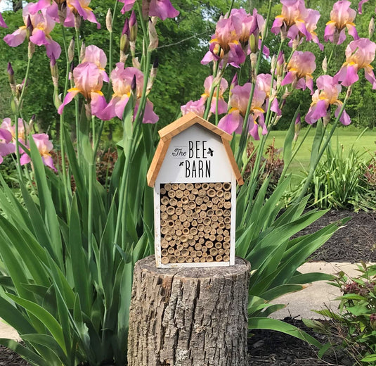 How to use an insect house