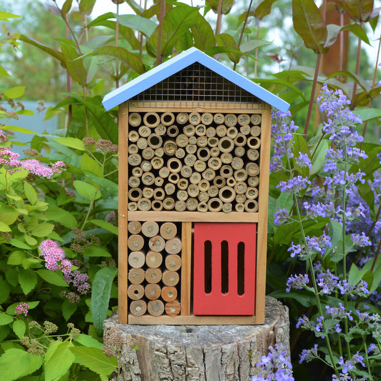 Why should I use an insect house?
