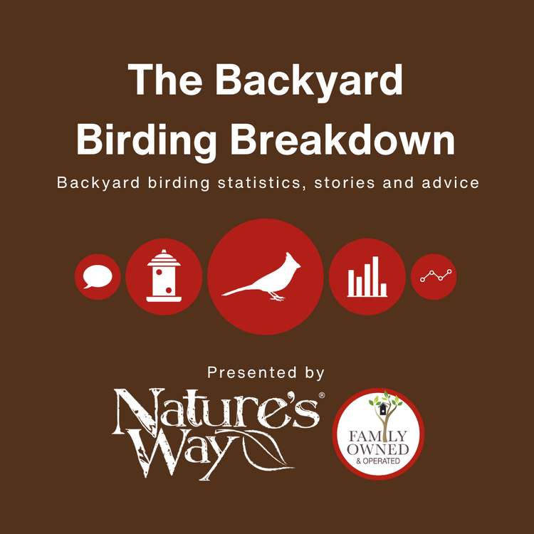 The Backyard Birding Breakdown: Backyard birding statistics, stories and advice