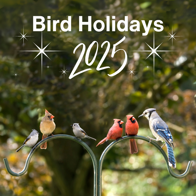 Wild Bird Holidays 2025