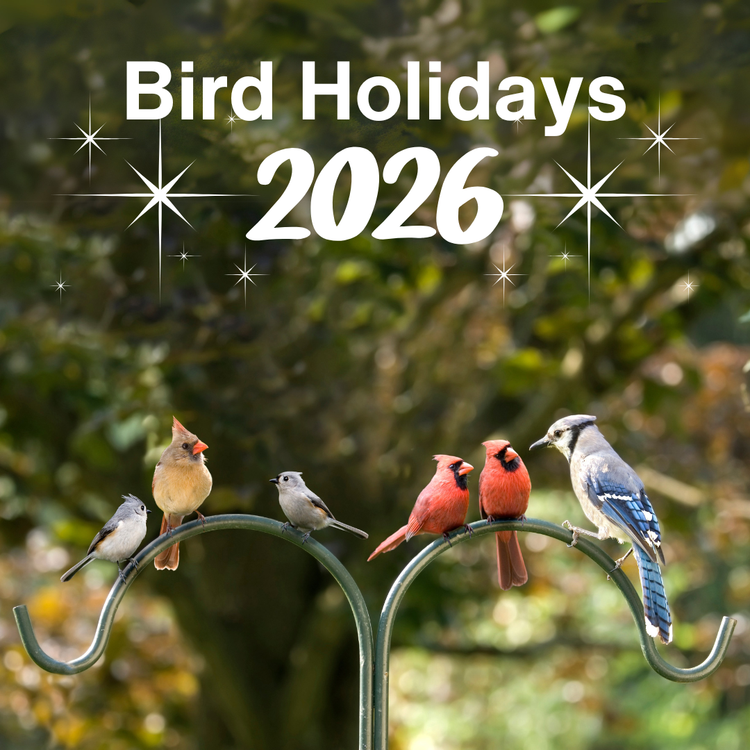 Wild Bird Holidays 2026