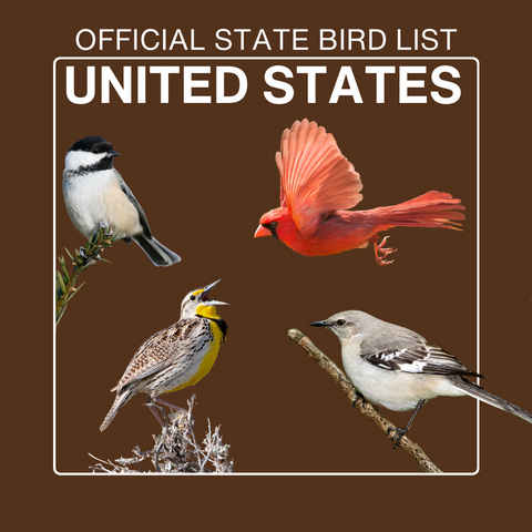 List of United States official state birds