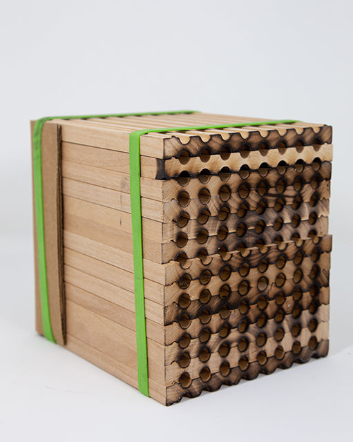 Spring Reusable Wood Trays for Mason Bees -8mm