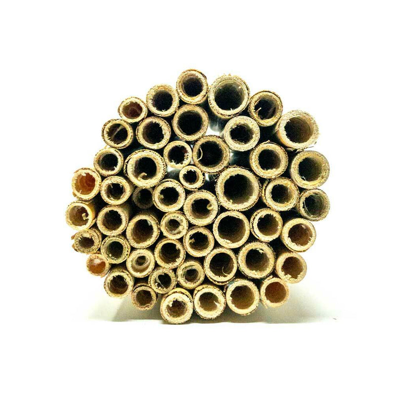 Load image into Gallery viewer, Summer Natural Reeds for Leafcutter Bees - 6mm
