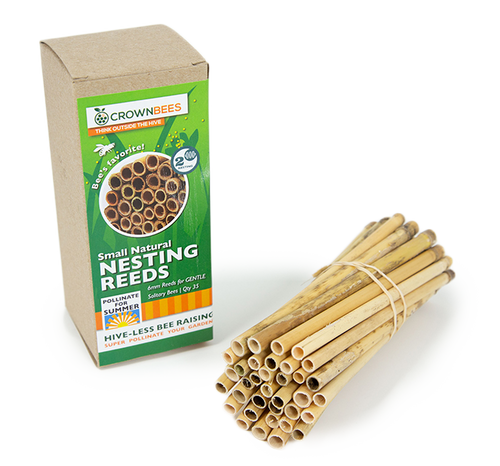 Summer Natural Reeds for Leafcutter Bees - 6mm