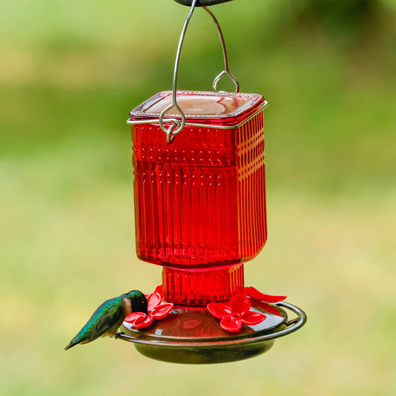 Load image into Gallery viewer, Red Dahlia Antique Glass Gravity Hummingbird Feeder
