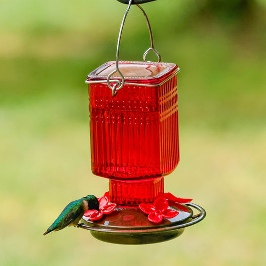 Red Dahlia Antique Glass Gravity Hummingbird Feeder