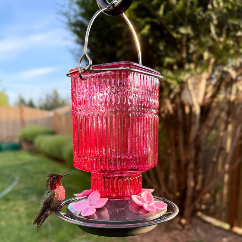 Load image into Gallery viewer, Pink Petal Antique Hummingbird Gravity Feeder
