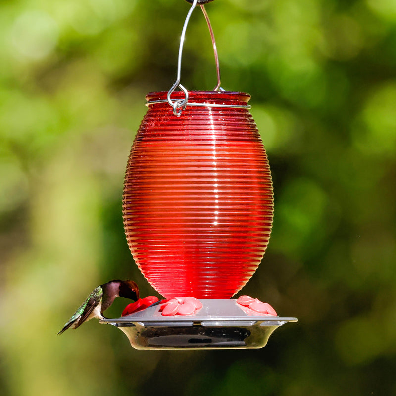 Load image into Gallery viewer, Ruby Dreams Antique Hummingbird Gravity Feeder
