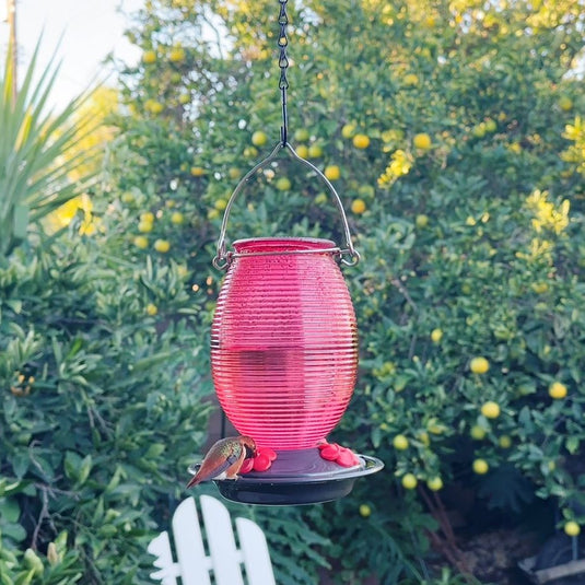 Ruby Dreams Antique Hummingbird Gravity Feeder