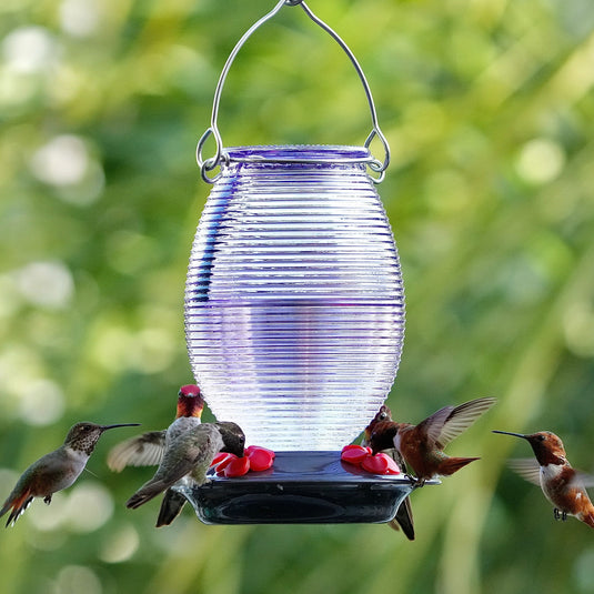 Twilight Dreams Antique Hummingbird Gravity Feeder