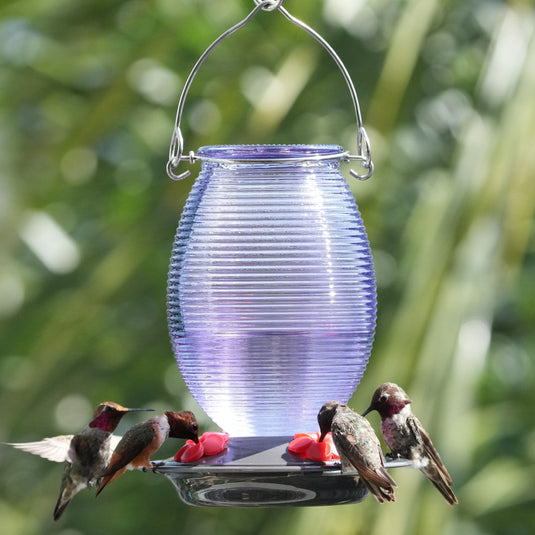 Twilight Dreams Antique Hummingbird Gravity Feeder