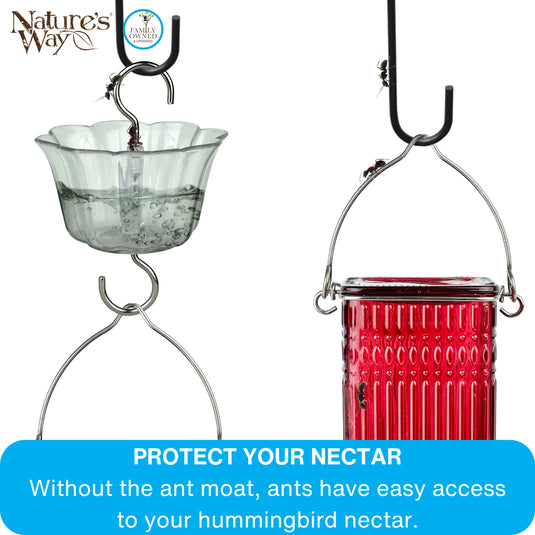 4-Pack Clear Hummingbird Feeder Ant Moat