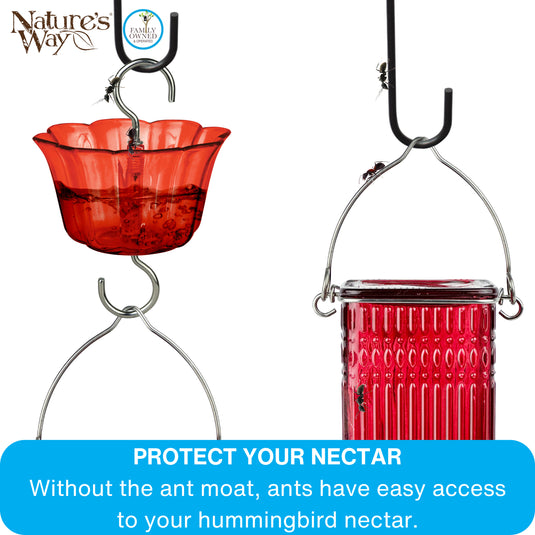 4-Pack Red Hummingbird Feeder Ant Moat