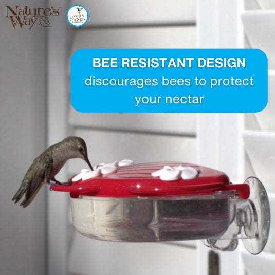 White Anemone Hummingbird Feeder Replacement Flowers w/ Cleaning Brush - Anemone, 12 ct