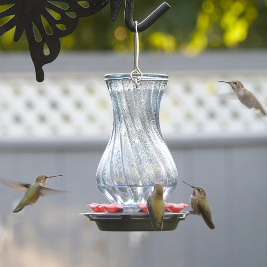 Perfect Pitcher Antique Glass Gravity Hummingbird Feeder