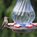 Perfect Pitcher Antique Glass Gravity Hummingbird Feeder - 32 oz (Model# ANTGHF10)