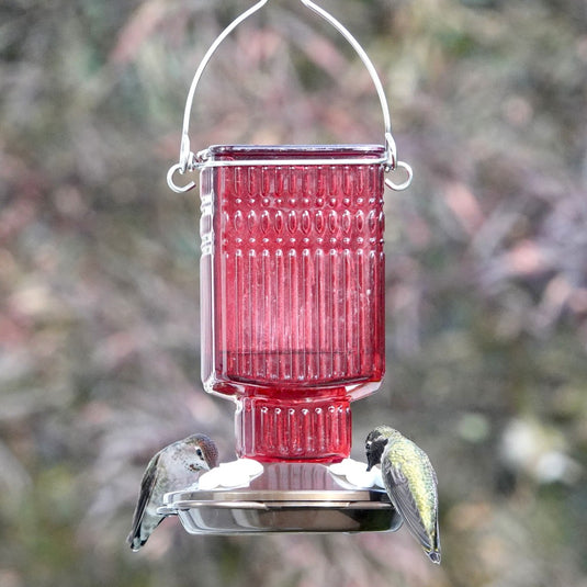 Crimson Carnation Antique Glass Gravity Hummingbird Feeder - 22 oz (Model