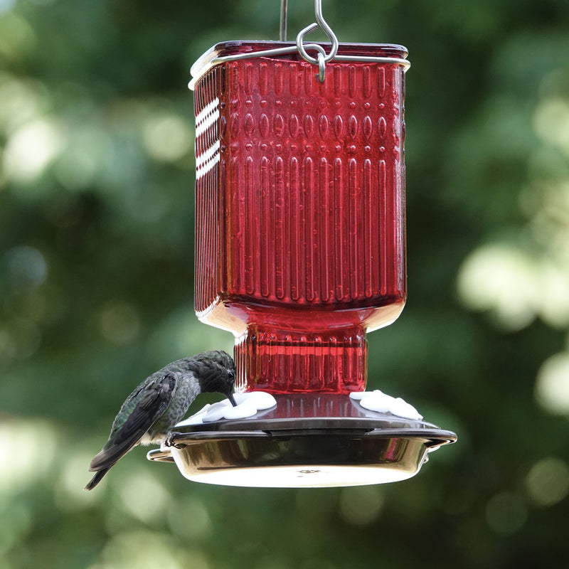 Load image into Gallery viewer, Crimson Carnation Antique Glass Gravity Hummingbird Feeder
