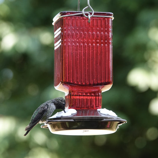 Crimson Carnation Antique Glass Gravity Hummingbird Feeder