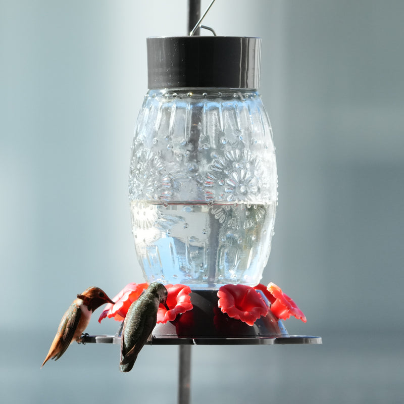 Load image into Gallery viewer, Antique Blooming Bulb Glass Hummingbird Feeder
