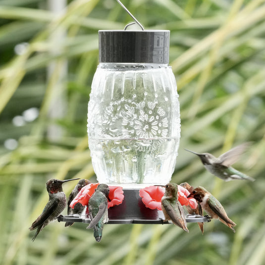 Antique Blooming Bulb Glass Hummingbird Feeder