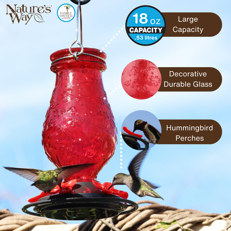 Load image into Gallery viewer, Vintage Charm Embossed Glass Hummingbird Feeder
