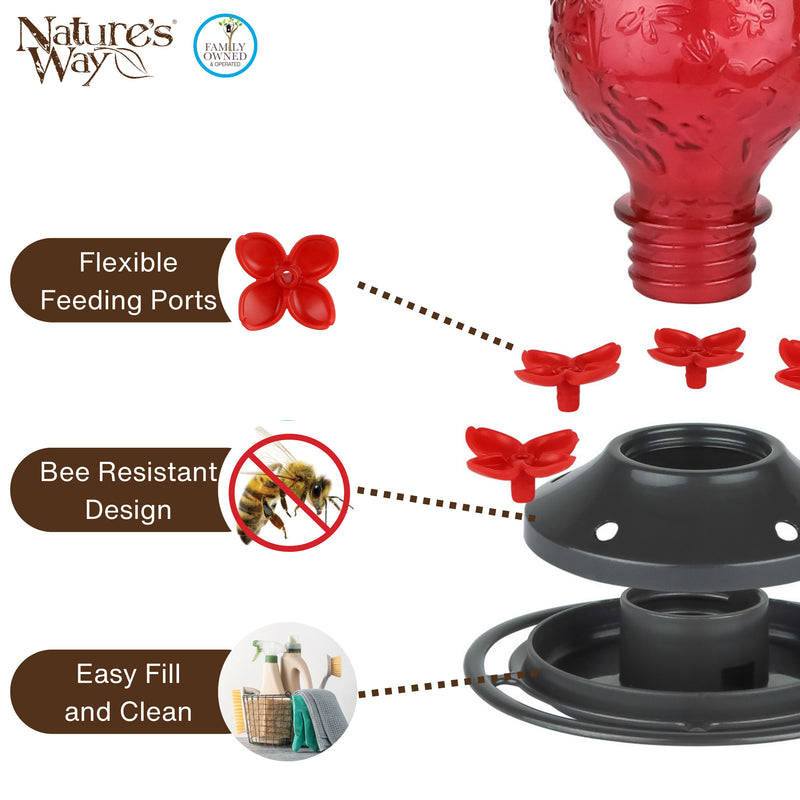 Load image into Gallery viewer, Vintage Charm Embossed Glass Hummingbird Feeder
