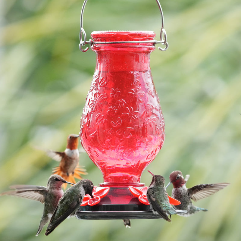 Load image into Gallery viewer, Vintage Charm Embossed Glass Hummingbird Feeder
