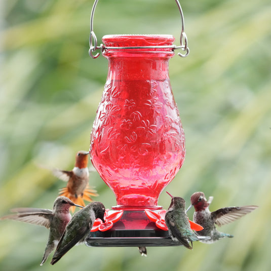 Vintage Charm Embossed Glass Hummingbird Feeder