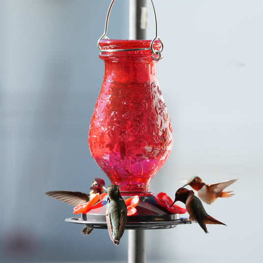 Vintage Charm Embossed Glass Hummingbird Feeder