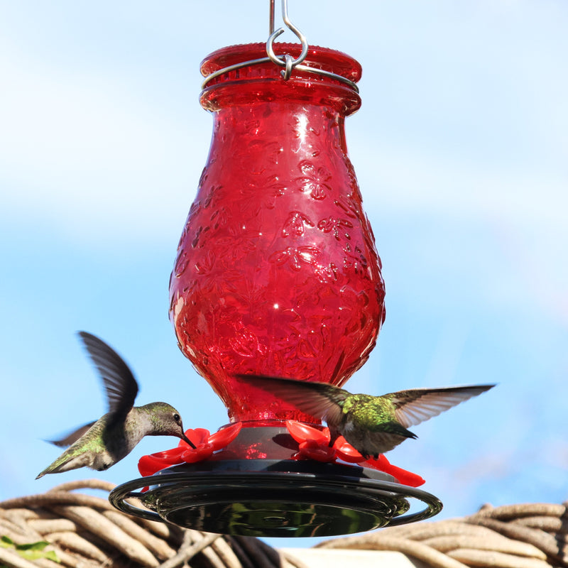 Load image into Gallery viewer, Vintage Charm Embossed Glass Hummingbird Feeder
