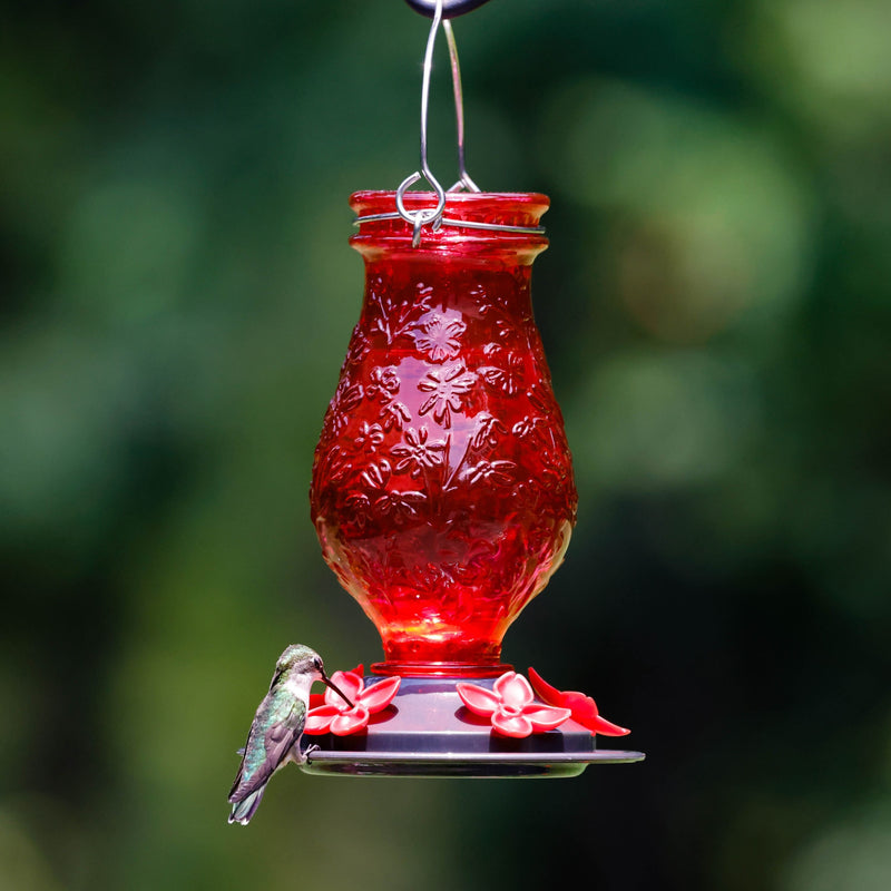 Load image into Gallery viewer, Vintage Charm Embossed Glass Hummingbird Feeder
