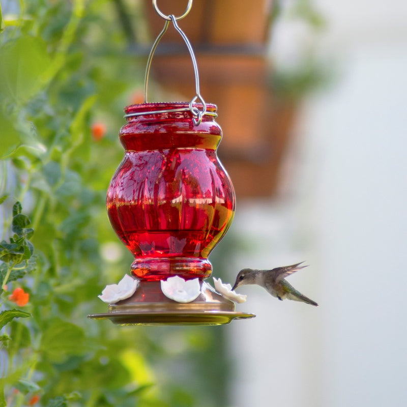 Load image into Gallery viewer, Ruby Visions Antique Glass Gravity Hummingbird Feeder - 25 oz (Model# ANTGHF6)
