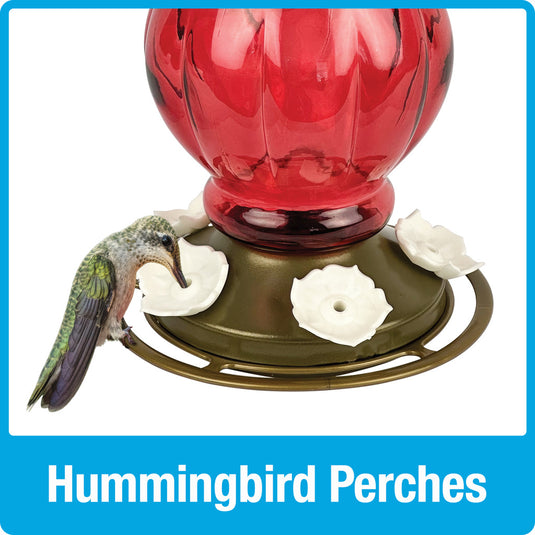 Ruby Visions Antique Glass Gravity Hummingbird Feeder - 25 oz (Model