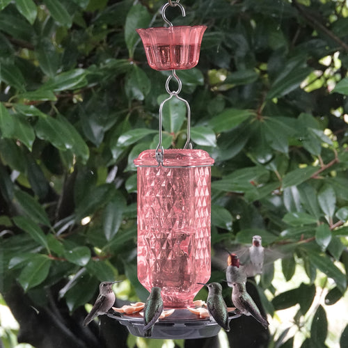 Rosewood Column Antique Glass Gravity Hummingbird Feeder with Ant Moat
