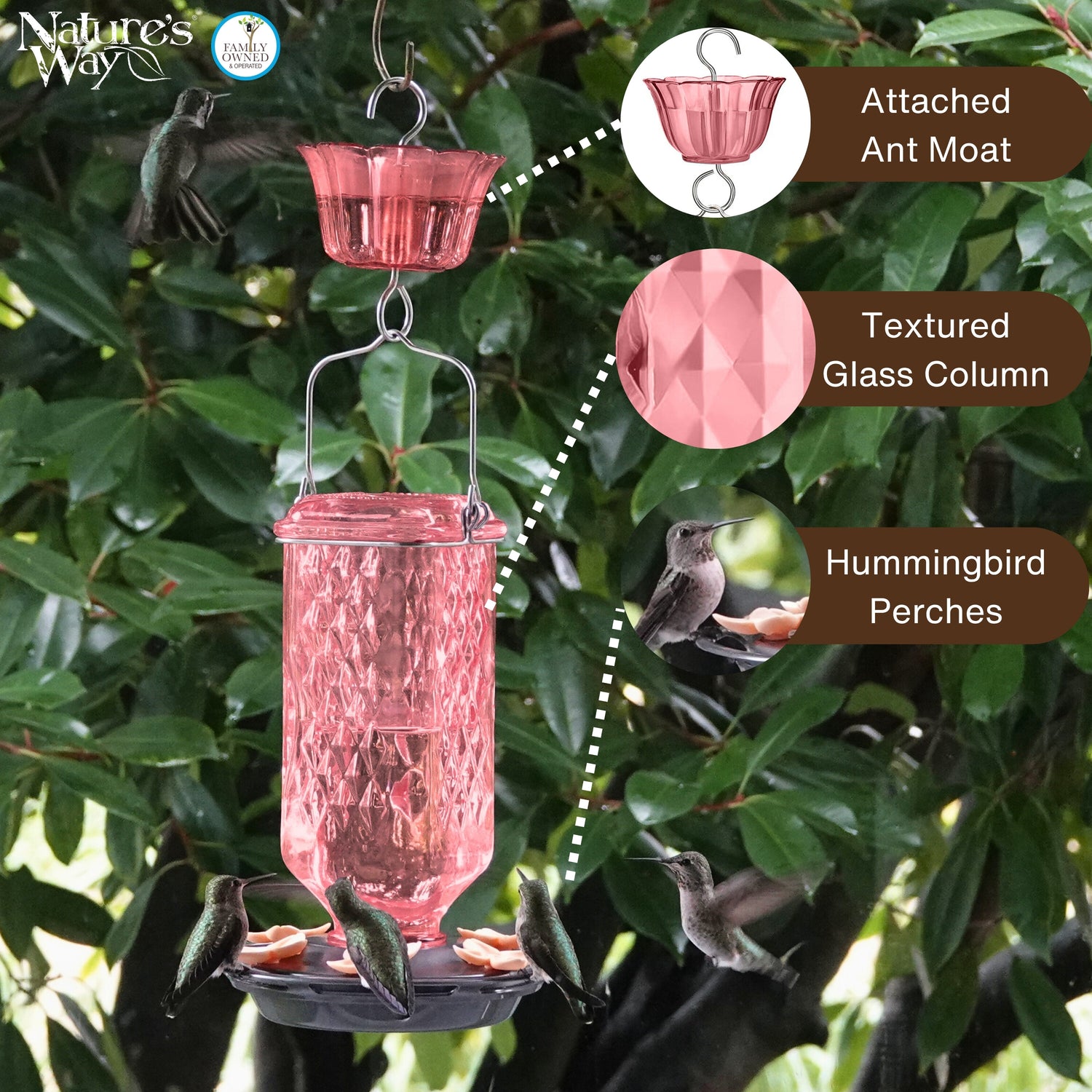 Rosewood Column Antique Glass Gravity Hummingbird Feeder with Ant Moat