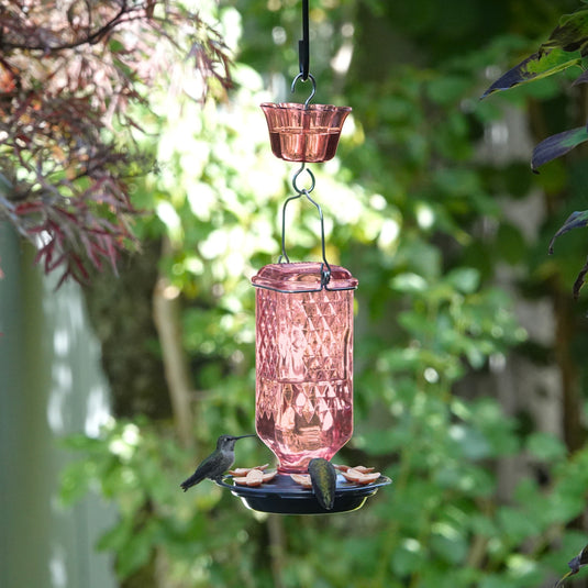 Rosewood Column Antique Glass Gravity Hummingbird Feeder with Ant Moat