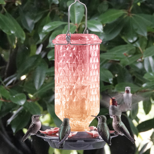 Peachy Pink Ombre Column Antique Glass Gravity Hummingbird Feeder