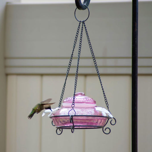 Antique Top-Fill Hummingbird Feeder (Model