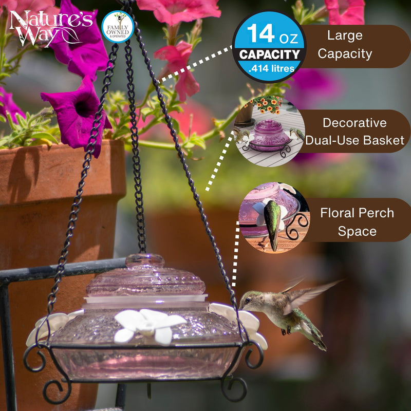 Load image into Gallery viewer, Plum Antique Glass Top-Fill Dish Hummingbird Feeder
