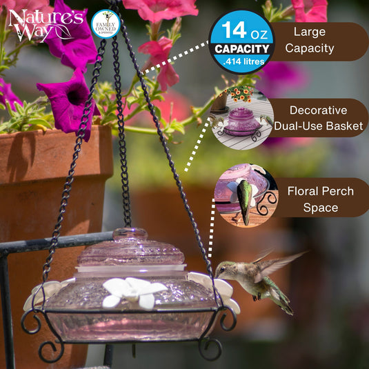 Plum Antique Glass Top-Fill Dish Hummingbird Feeder