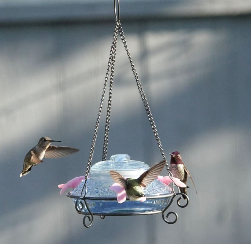 Load image into Gallery viewer, Illuminated Antique Top-Fill Hummingbird Feeder (Model# ANTHF2-I)
