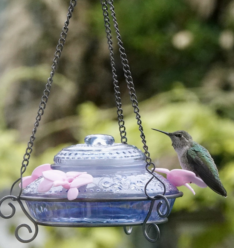 Load image into Gallery viewer, Illuminated Antique Top-Fill Hummingbird Feeder (Model# ANTHF2-I)
