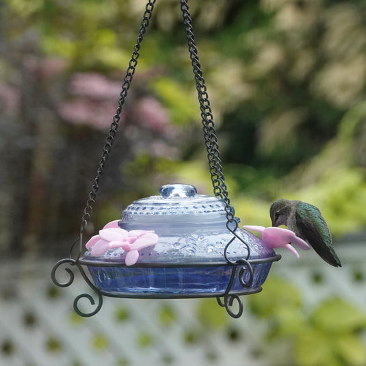 Illuminated Blue Antique Top-Fill Dish Hummingbird Feeder