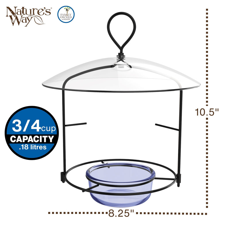 Load image into Gallery viewer, Bluebird Buffet Metal and Glass Bird Feeder with Protective Baffle
