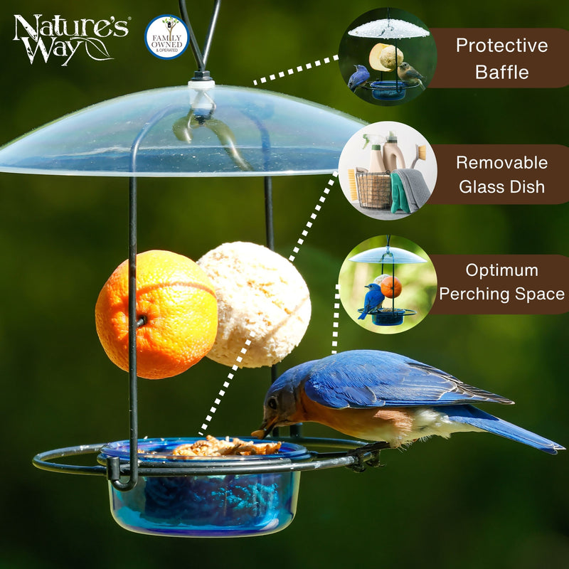 Load image into Gallery viewer, Bluebird Buffet Metal and Glass Bird Feeder with Protective Baffle
