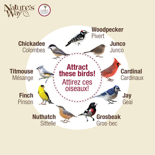 Dine-in Hanging Plastic Fly Through Bird Feeder - Tan