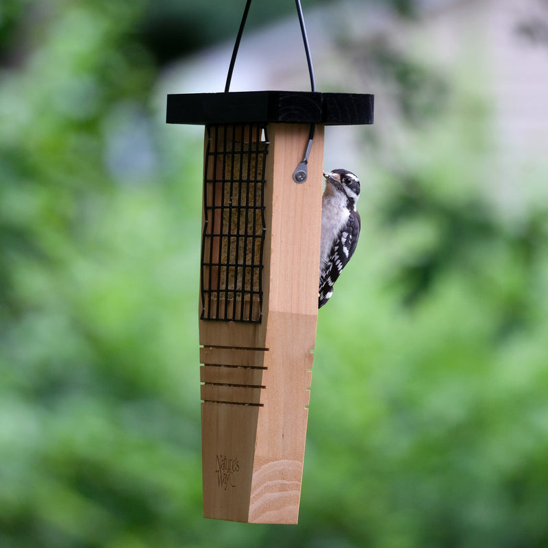 Load image into Gallery viewer, Tail-prop Suet Feeder
