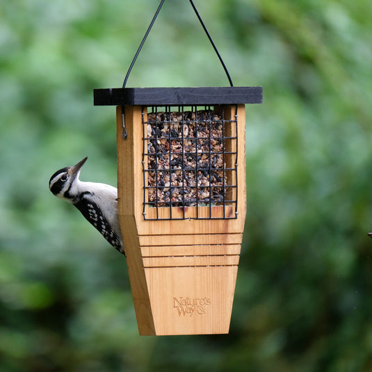 Tail-prop Suet Feeder